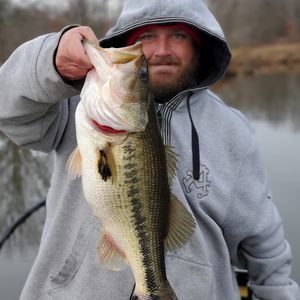 Meet your Posher, Colby